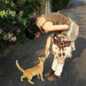 树懒在橘子洲数星星