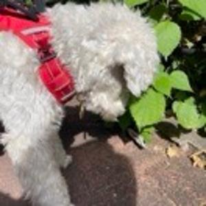 A001梁城（觉满）