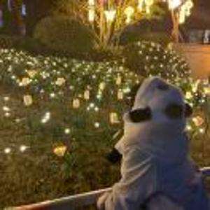 杨喆 二手新房家装服务