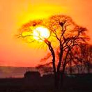 滇蜀田野山货行小二