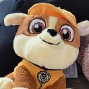 不爱买布的高子