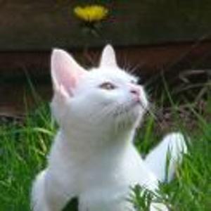 爱吃虾的老阿姨👩