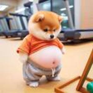 邹金良℡₁₃₂₁₂₀₁₉₀₀₀