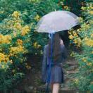 爱堡宝-草莓老师