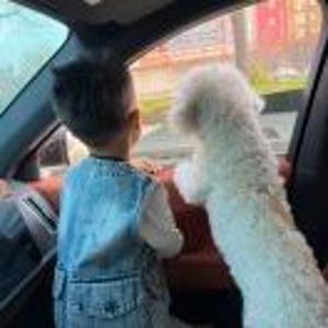 律动～大净净（回消息慢就是在忙）