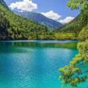 悟道梁爱荣13854021728