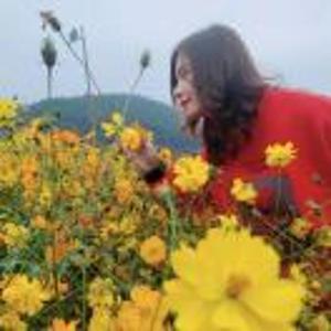 🌷蝶恋花🌷尤茶