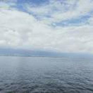 云淡风轻（木木）