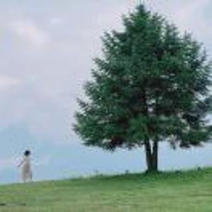 🌾荞麦冰淇淋🍦