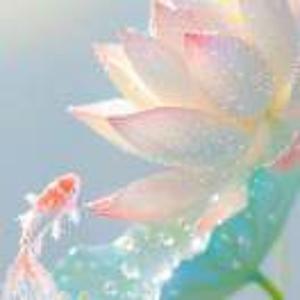 懂事儿的嘟嘟