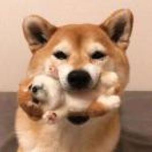 王一
