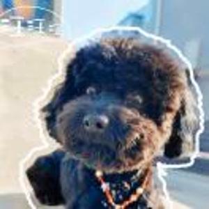 奶油草莓王ᯤ⁶ᴳ